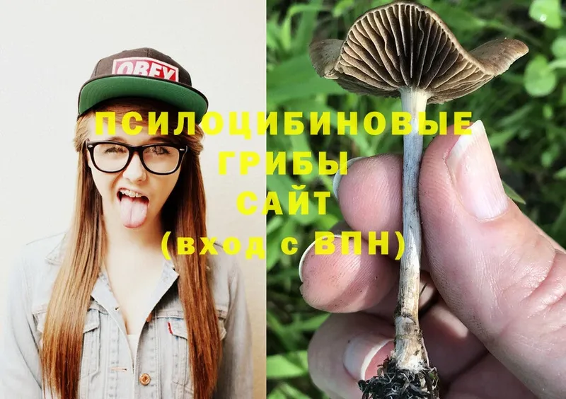 кракен tor  Советский  Галлюциногенные грибы MAGIC MUSHROOMS  магазин   